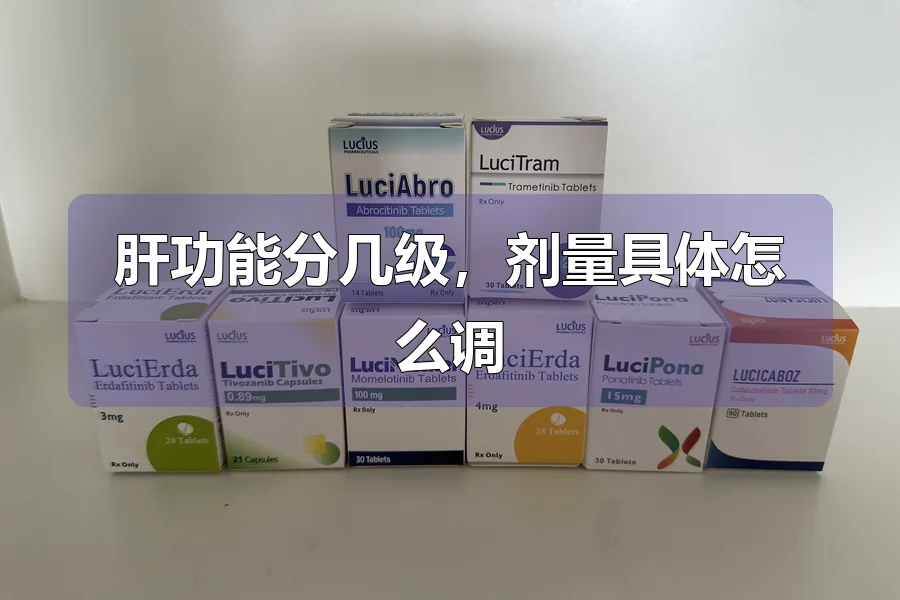 肝功能分几级，剂量具体怎么调